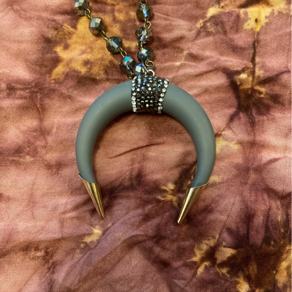 Necklace- Boutique Purchased with bull horn and silver.  NWOT